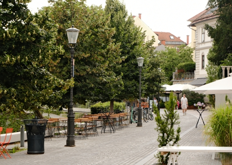 Ljubljana - Center Rog - urban trees - GreenMax TreeParker TreeBuilders (10)