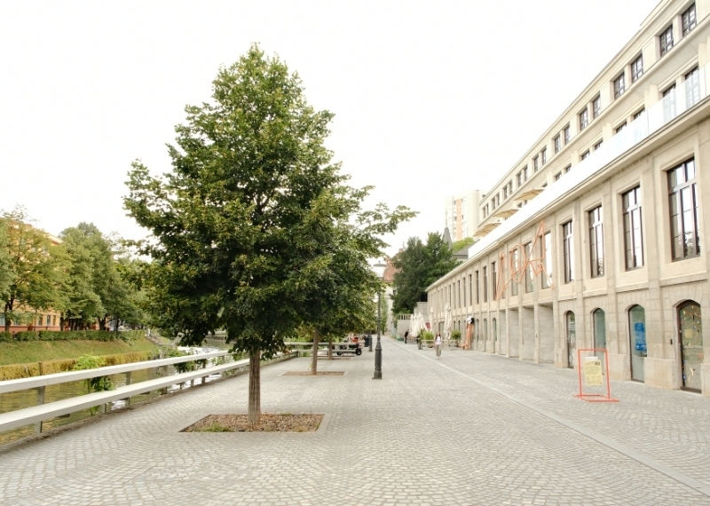 Ljubljana - Center Rog - urban trees - GreenMax TreeParker TreeBuilders (18)
