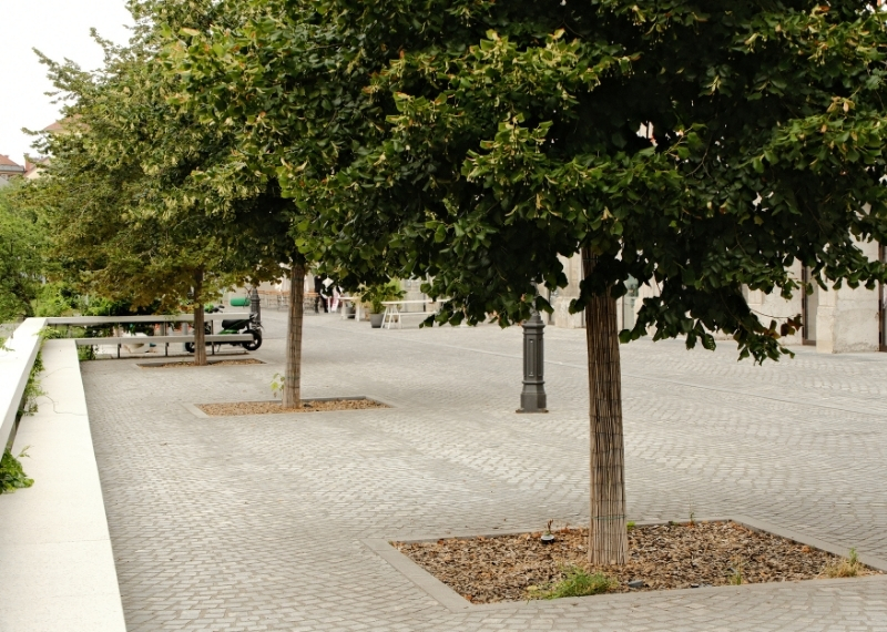 Ljubljana - Center Rog - urban trees - GreenMax TreeParker TreeBuilders (10)