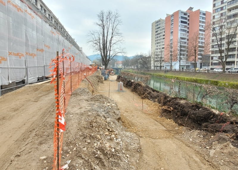 Ljubljana - Center Rog - urban trees - GreenMax TreeParker TreeBuilders (2)