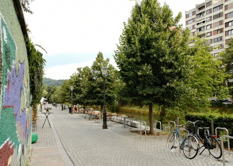 Ljubljana - Center Rog - urban trees - GreenMax TreeParker TreeBuilders (10)