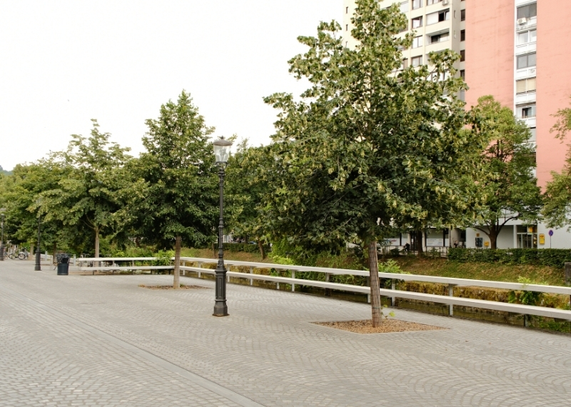 Ljubljana - Center Rog - urban trees - GreenMax TreeParker TreeBuilders (10)
