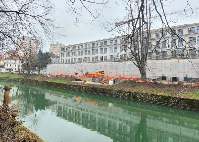 Ljubljana - Center Rog - urban trees - GreenMax TreeParker TreeBuilders (5)